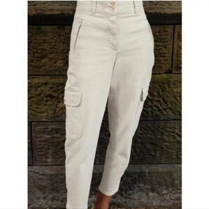 Aritzia WILFRED Cargo Pant